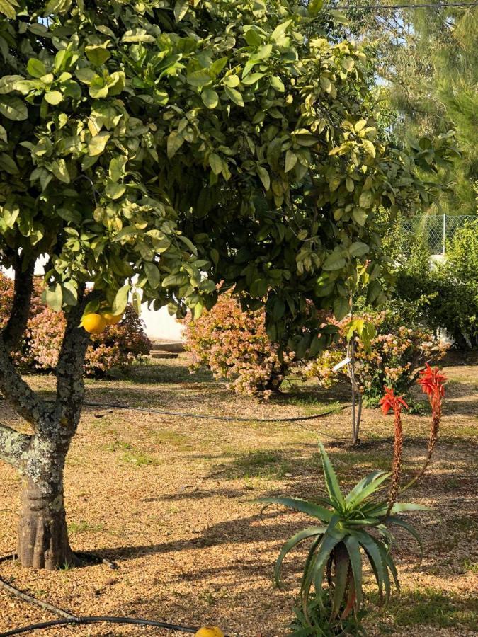 Quinta Verde Albufeira Dış mekan fotoğraf