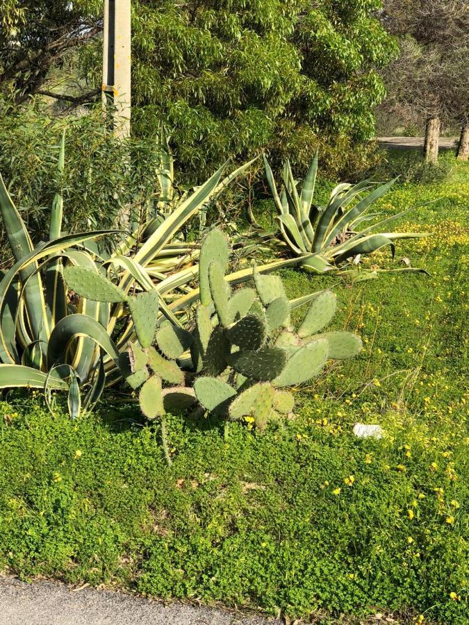 Quinta Verde Albufeira Dış mekan fotoğraf