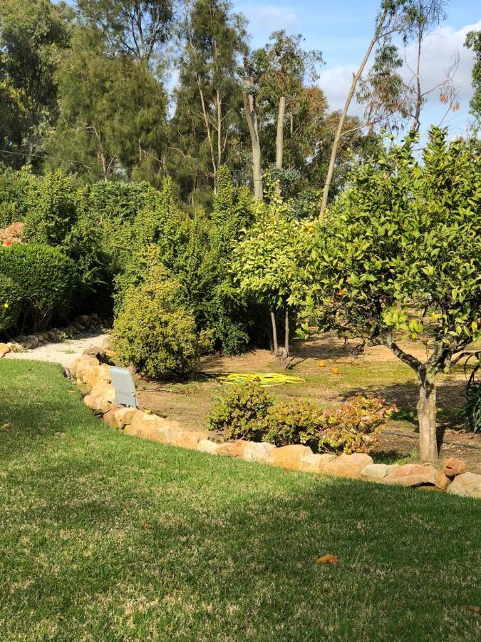 Quinta Verde Albufeira Dış mekan fotoğraf