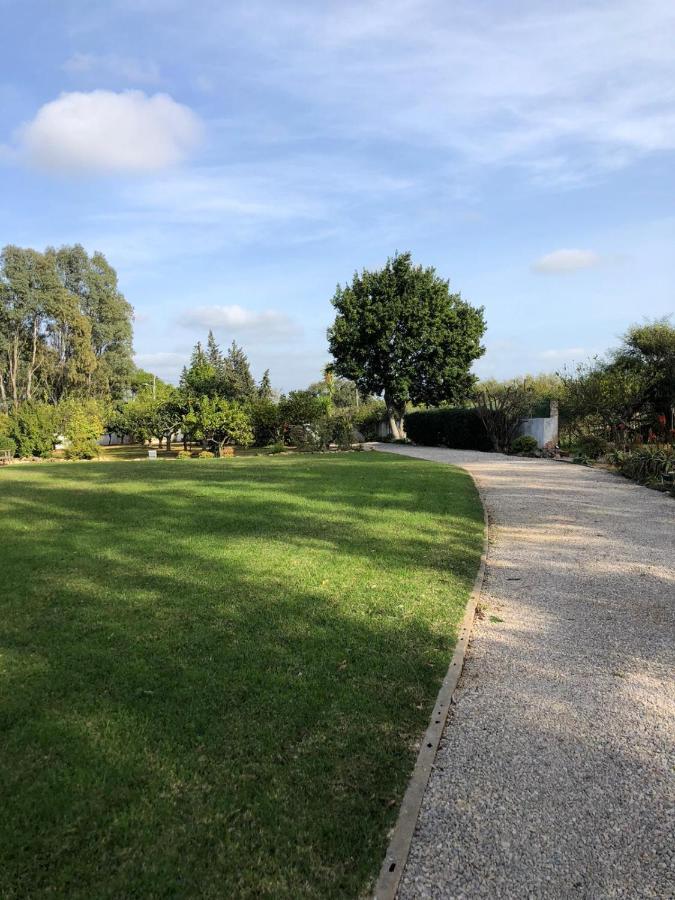 Quinta Verde Albufeira Dış mekan fotoğraf