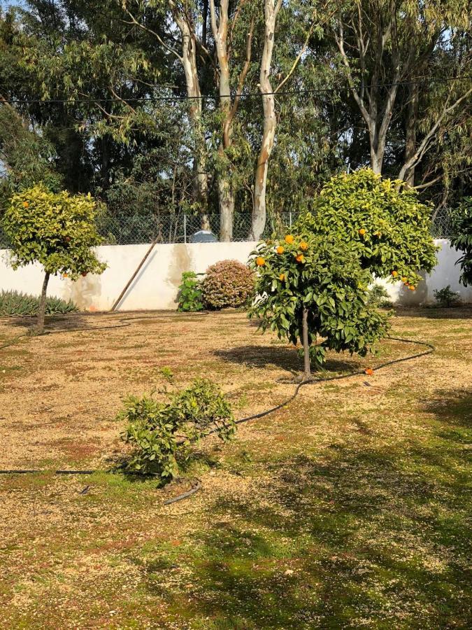 Quinta Verde Albufeira Dış mekan fotoğraf